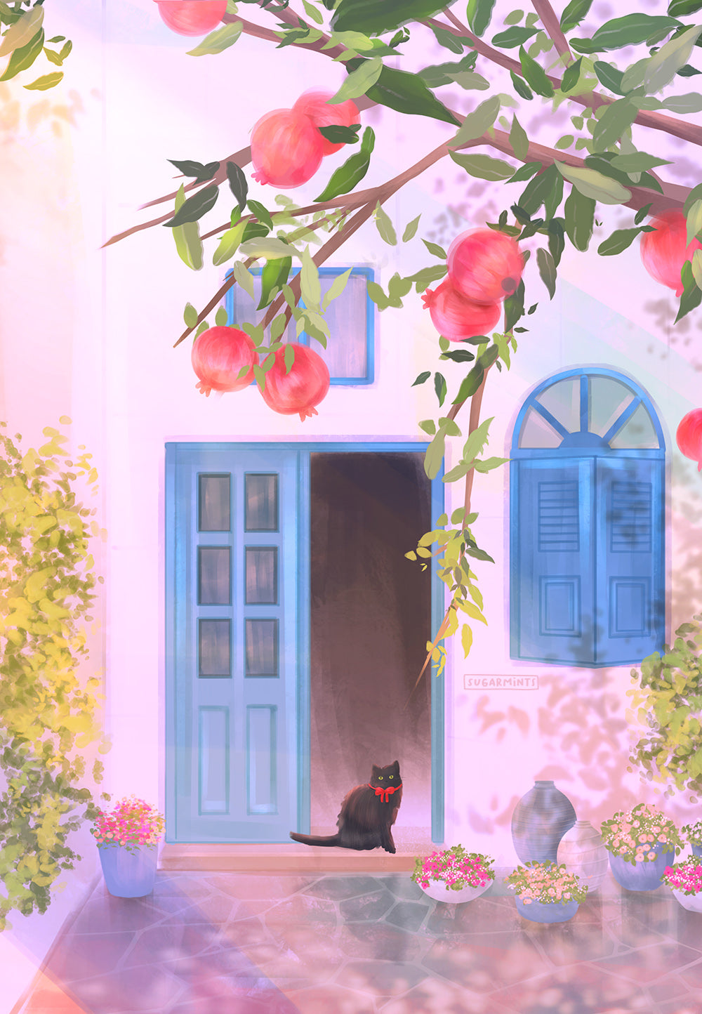 Postcard: Pomegranate