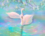 Load image into Gallery viewer, Postcard: Swan Lake
